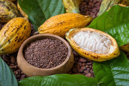 Fairtrade Cacao and Cacao nib