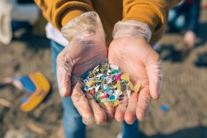 マイクロプラスチック（Microplastic）汚染の問題