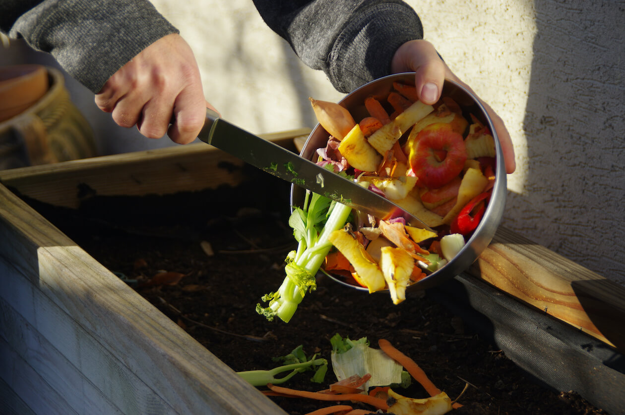 Food waste solution: compost