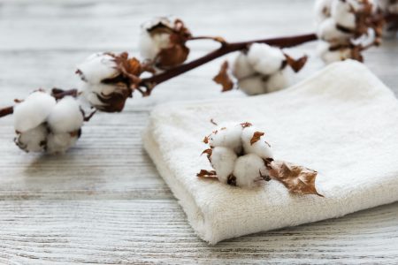 Soft Organic Cotton Fabric