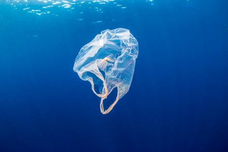 Plastic Bag Pollution Facts