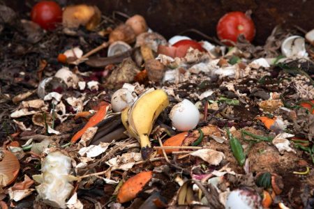 food waste landfill