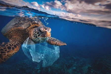 『使えば使うほど世界のプラごみを減らせるゴミ袋』再生プラスチック50％使用したゴミ袋が誕生